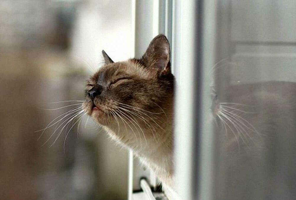 Прогноз на 16 грудня: в Україну повертається сонячна погода