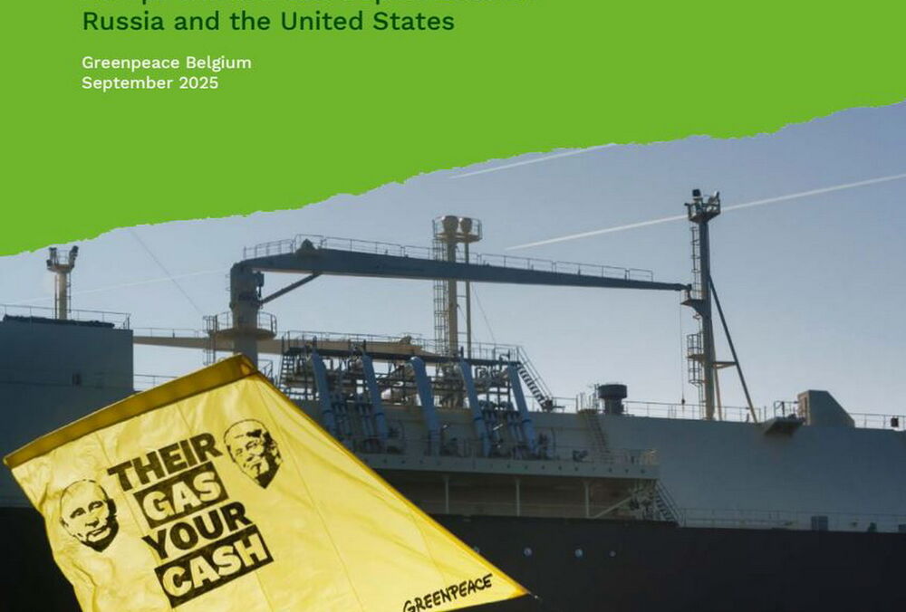 Greenpeace: страны ЕС потратили на российский газ больше, чем на помощь Украине