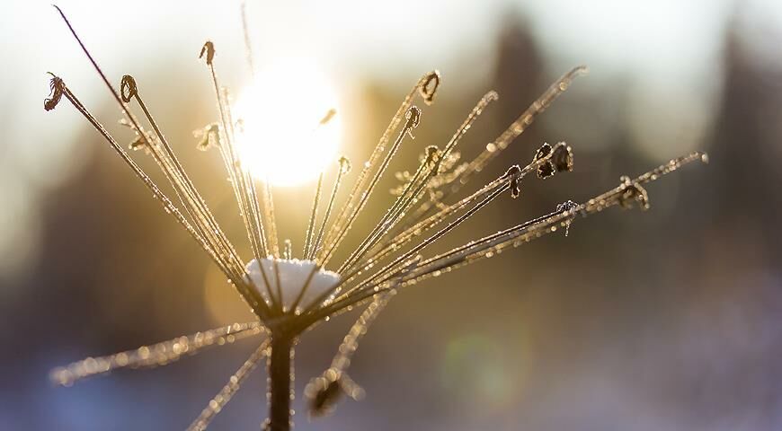Погода 10 января: в Украине может показаться солнце