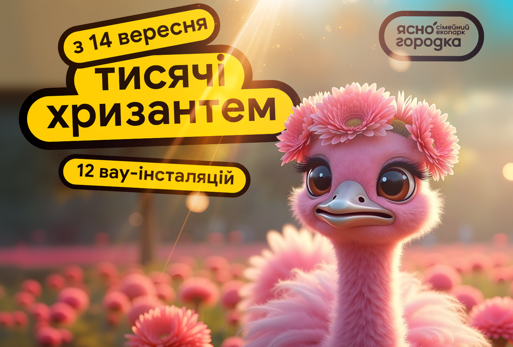 Знаки Зодіаку з десятків тисяч хризантем: в ”Сімейному екопарку ”Ясногородка” стартує виставка квітів