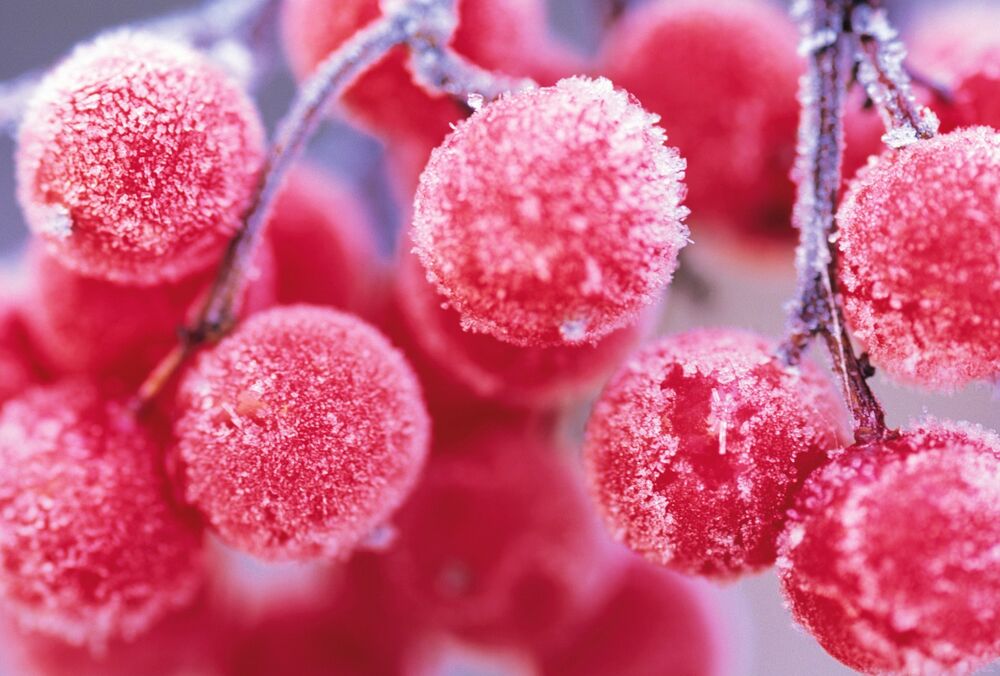 В Україні різко похолодало: де синоптики обіцяють найсильніші морози