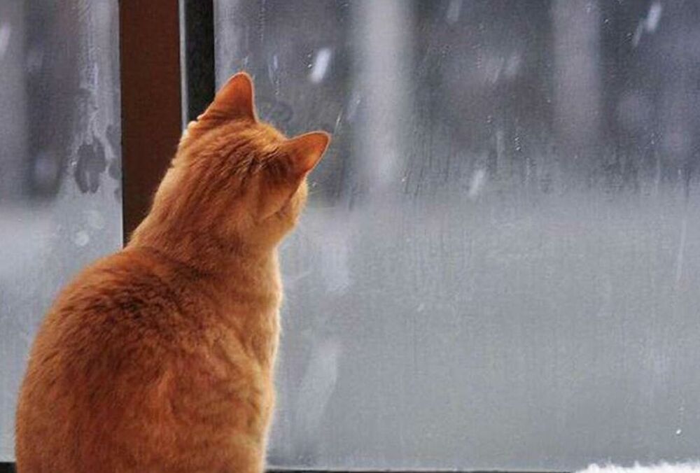 Ні снігу, ні сонця: якою буде погода в Україні 1 січня