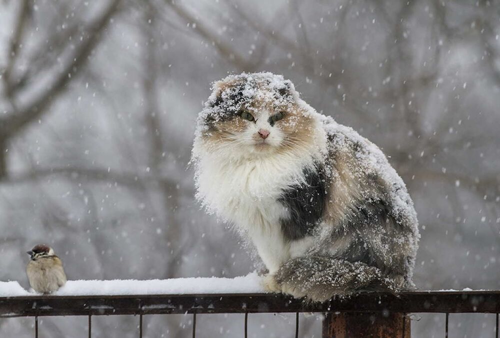 Готовим теплые вещи: в Украину идет похолодание