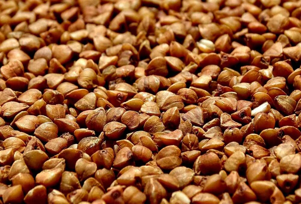 Українцям продають завезену з Росії отруйну гречку