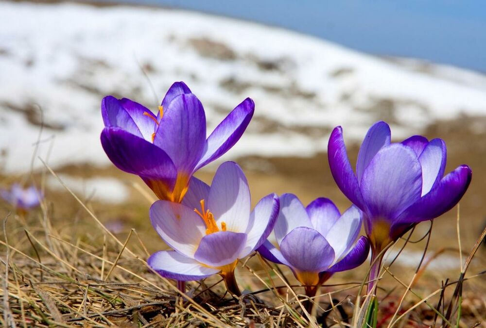 Выходные в марте: сколько будут отдыхать украинцы