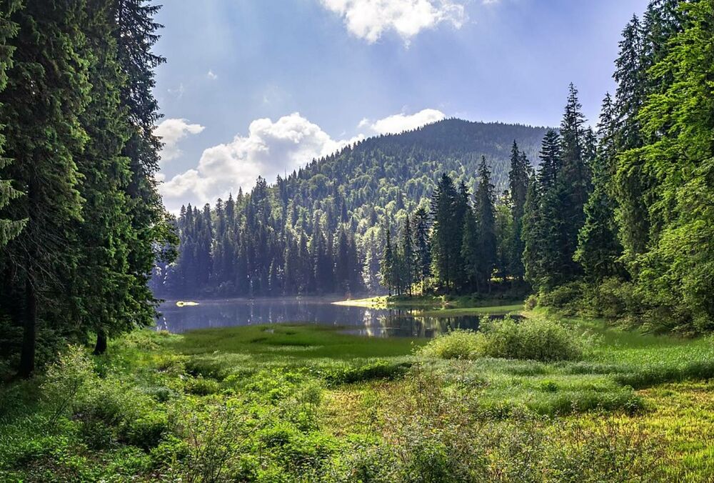 На Закарпатті депутат опублікувала карту області у кольорах прапора Угорщини