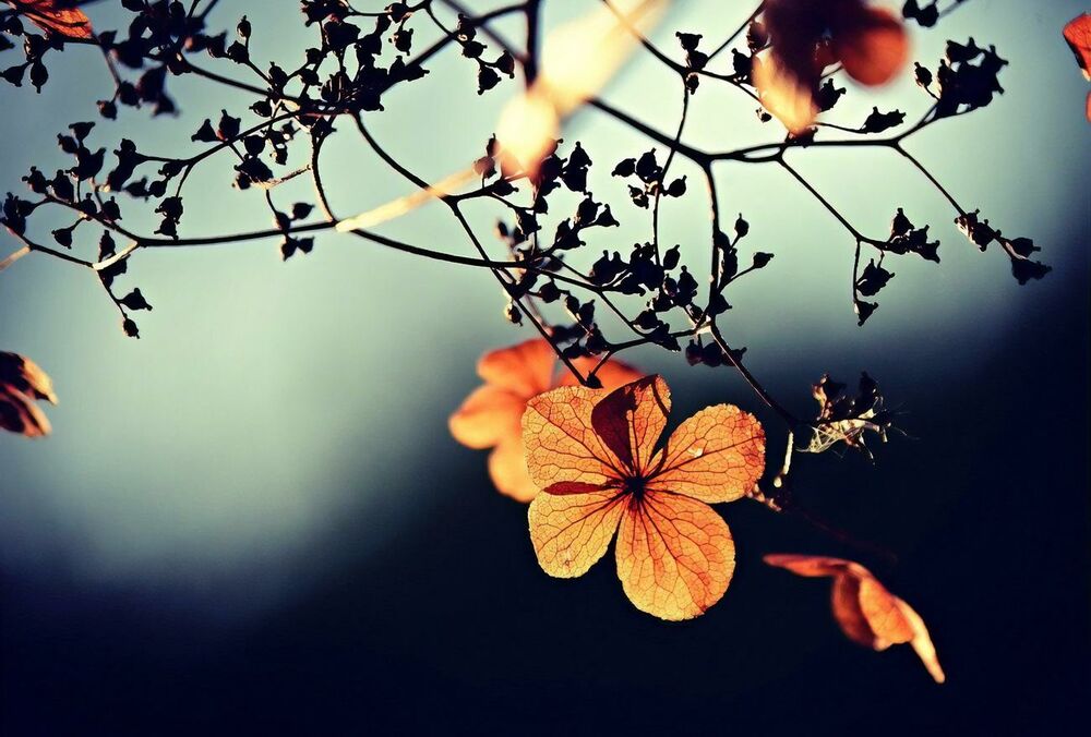 Спекотна неділя: прогноз погоди в Україні