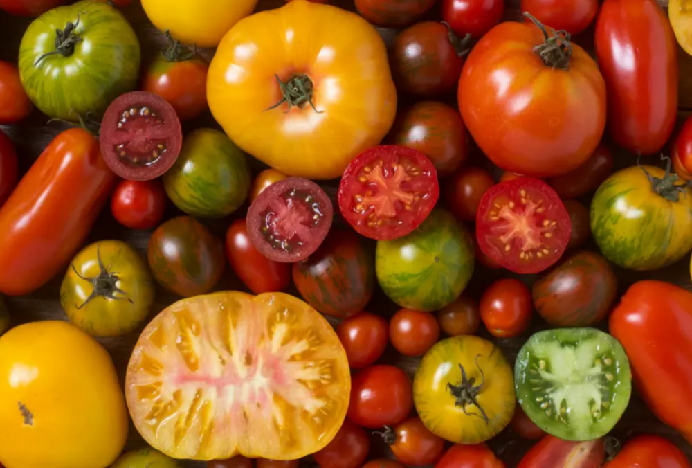 В Украине растут цены на помидоры