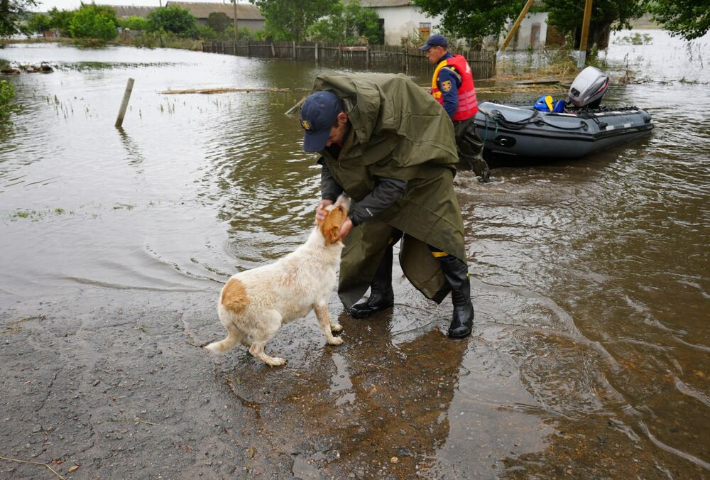 У Херсонській області виявили холерну та кишкову палички у воді