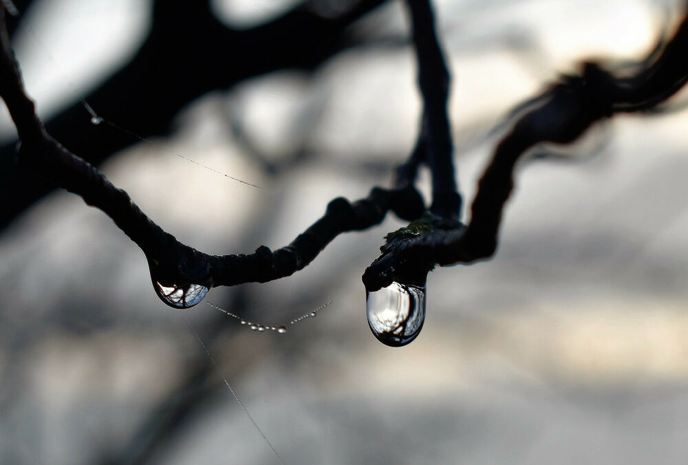 Солнечный понедельник: прогноз погоды в Украине