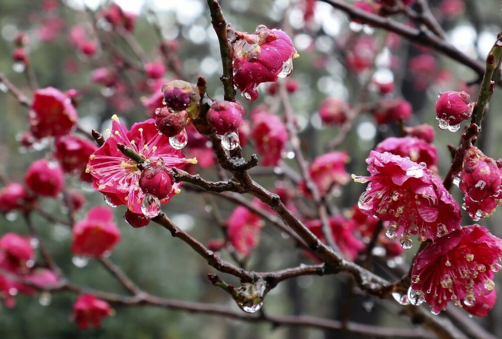 Прогноз погоды: грозы принесли похолодание