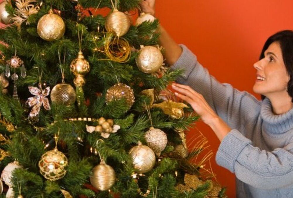 Новорічна ялинка: на що звернути увагу при виборі штучного дерева Новорічна ялинка: на що звернути увагу при виборі штучного дерева