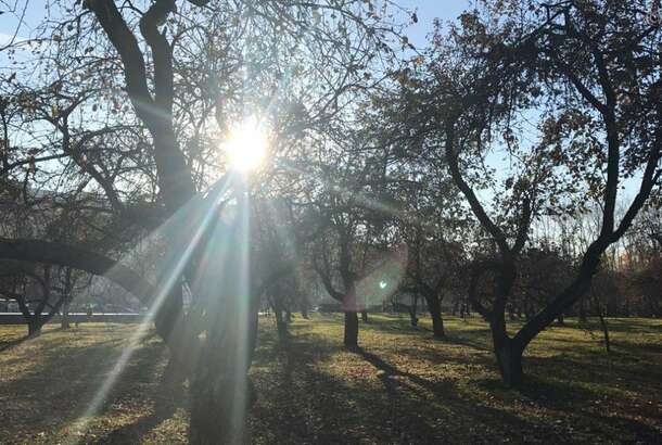 Сонячно і холодно: якою буде погода в Україні сьогодні