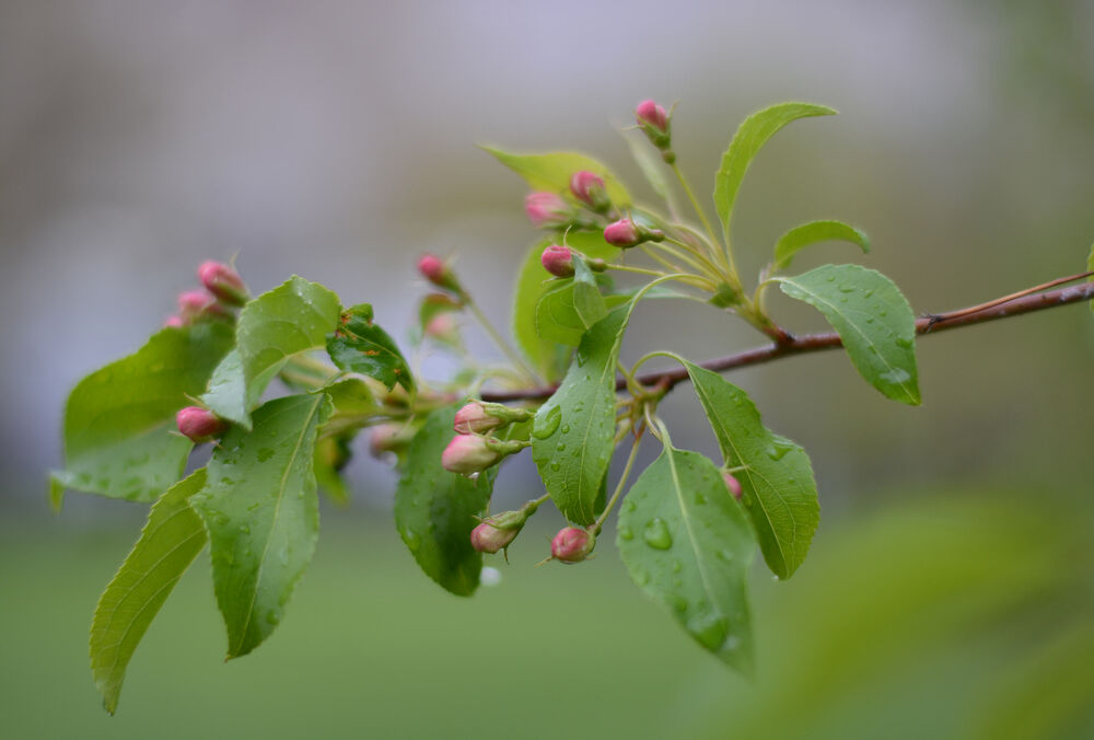 Прогноз погоди: травень принесе в Україну грози