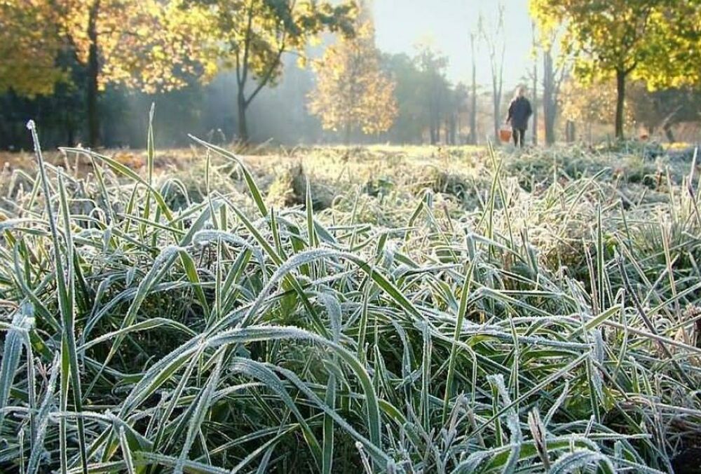 Предупреждение синоптиков: в Украину возвращаются морозы
