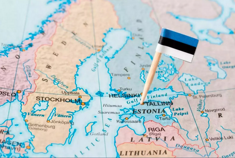 В Эстонии прокомментировали освобождение Херсона: ”Тронуты до слез”