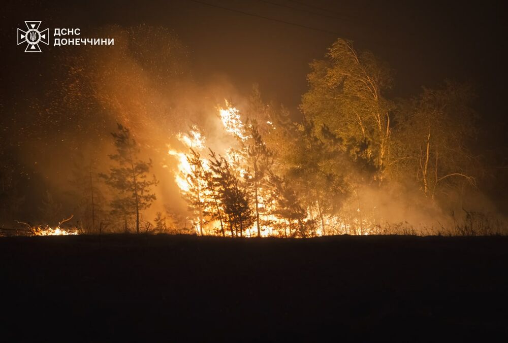 На Донеччині не можуть загасити лісову пожежу, яку спровокували обстріли