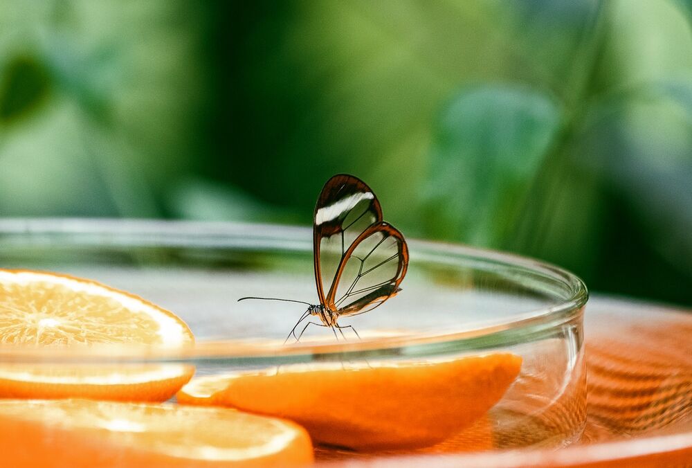 Простые способы повысить иммунитет