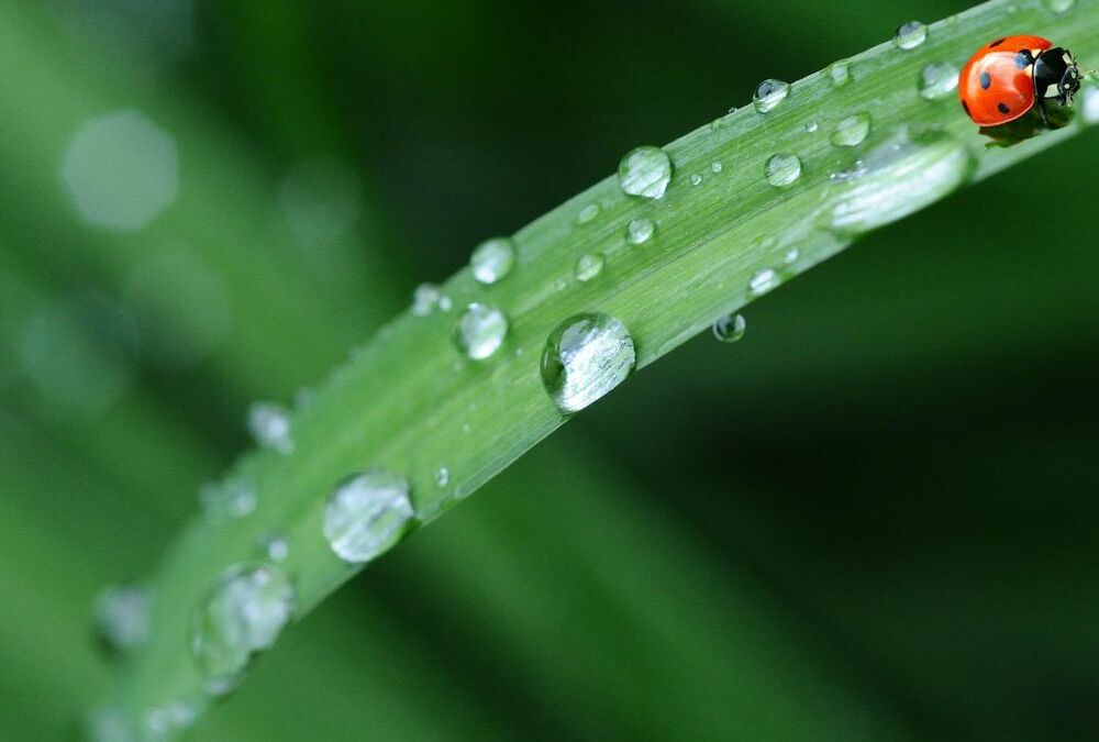 Синоптик предупредила украинцев о резком изменении погоды