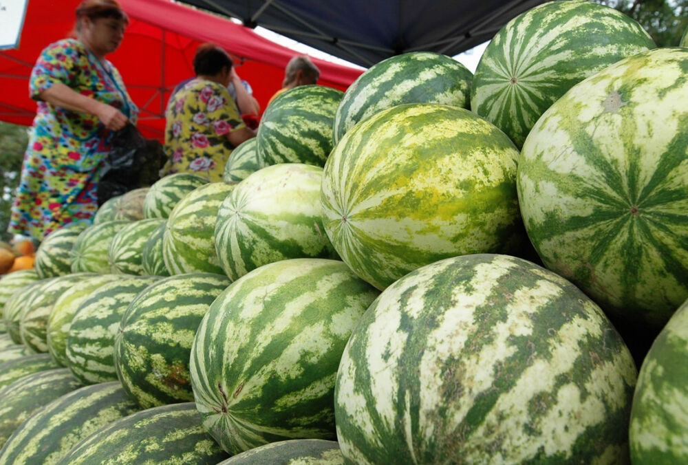 В Україні дорожчають кавуни