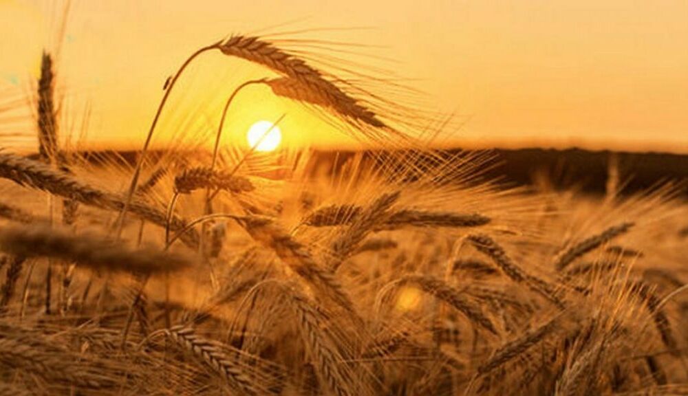 Выходные в августе: сколько будут отдыхать украинцы