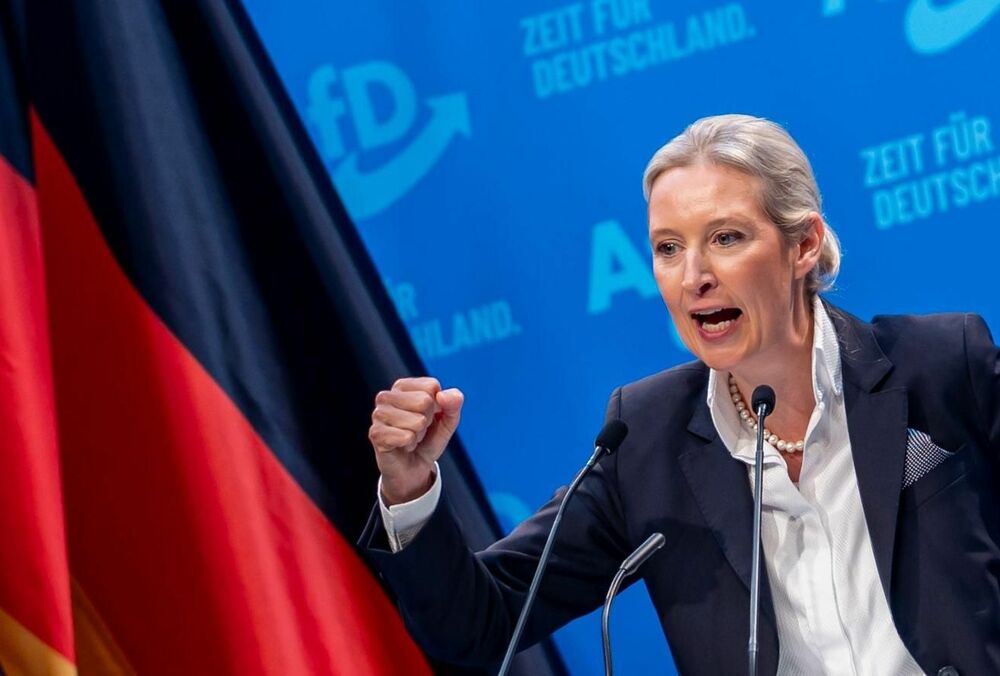 Партия ”Альтернатива для Германии” в ФРГ признана экстремистской