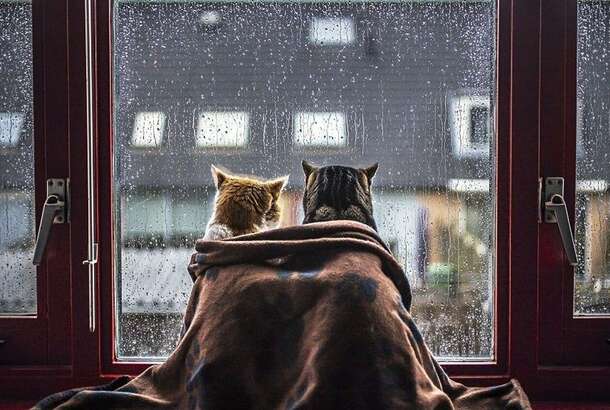 Останній день тепла: прогноз погоди в Україні