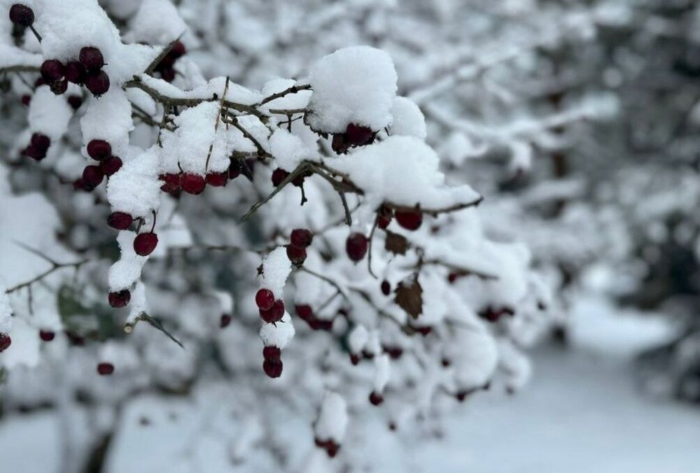 Российский мэр призвал жителей меньше грешить, а то коммунальщики не справятся со снегом