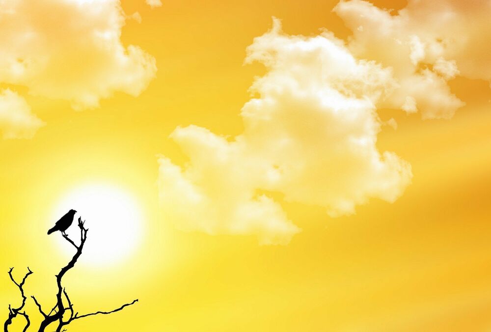 Завтра Украина будет самой жаркой страной в Европе