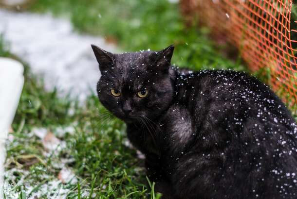 Похолодание в Украине: стоит ли ждать первого снега