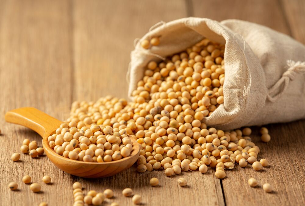 В Украине может быть рекордный урожай сои в этом году