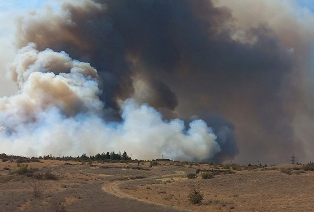 На околицях Тбілісі палає потужна пожежа