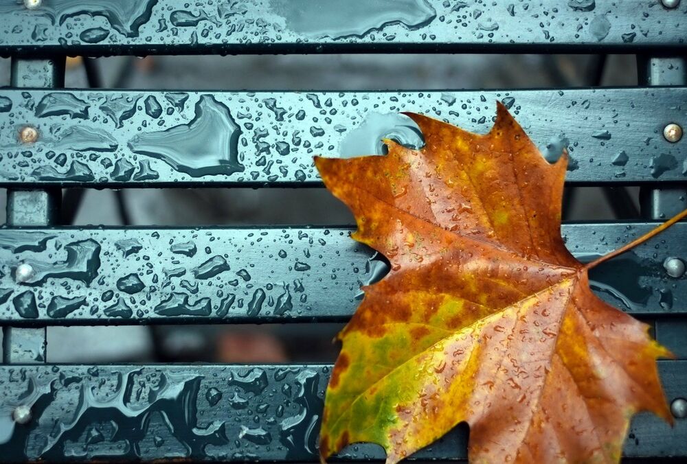 В Украину идет похолодание с дождями В Украину идет похолодание с дождями