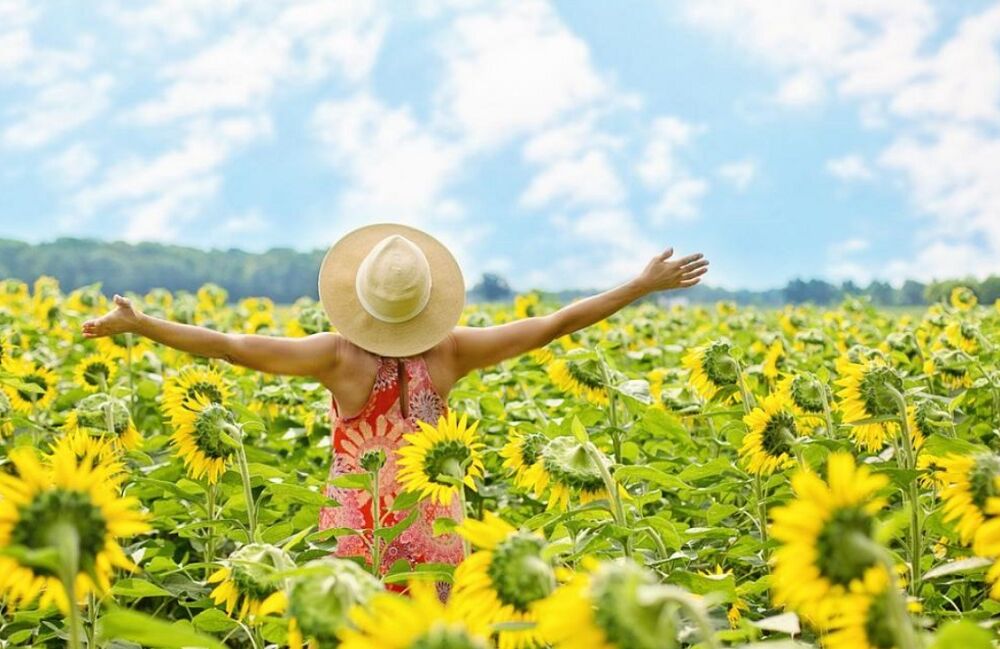 Синоптики розповіли про зміну погоди в Україні на найближчий тиждень