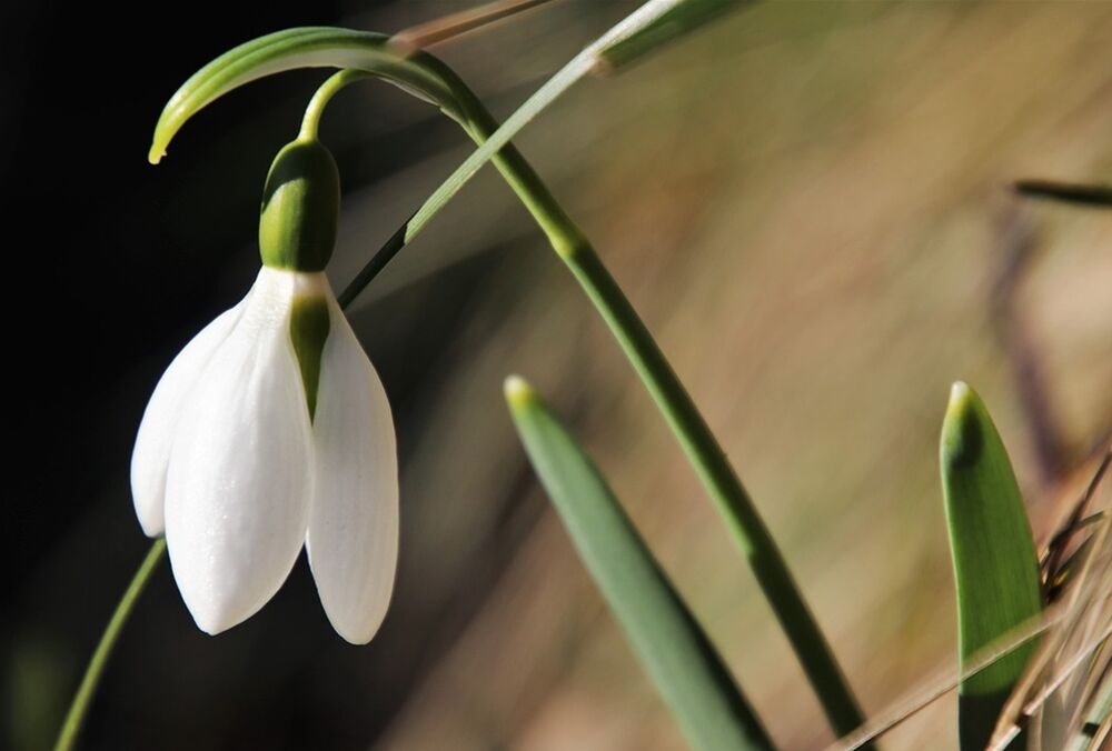 Прогноз погоди: коли чекати новий виток потепління