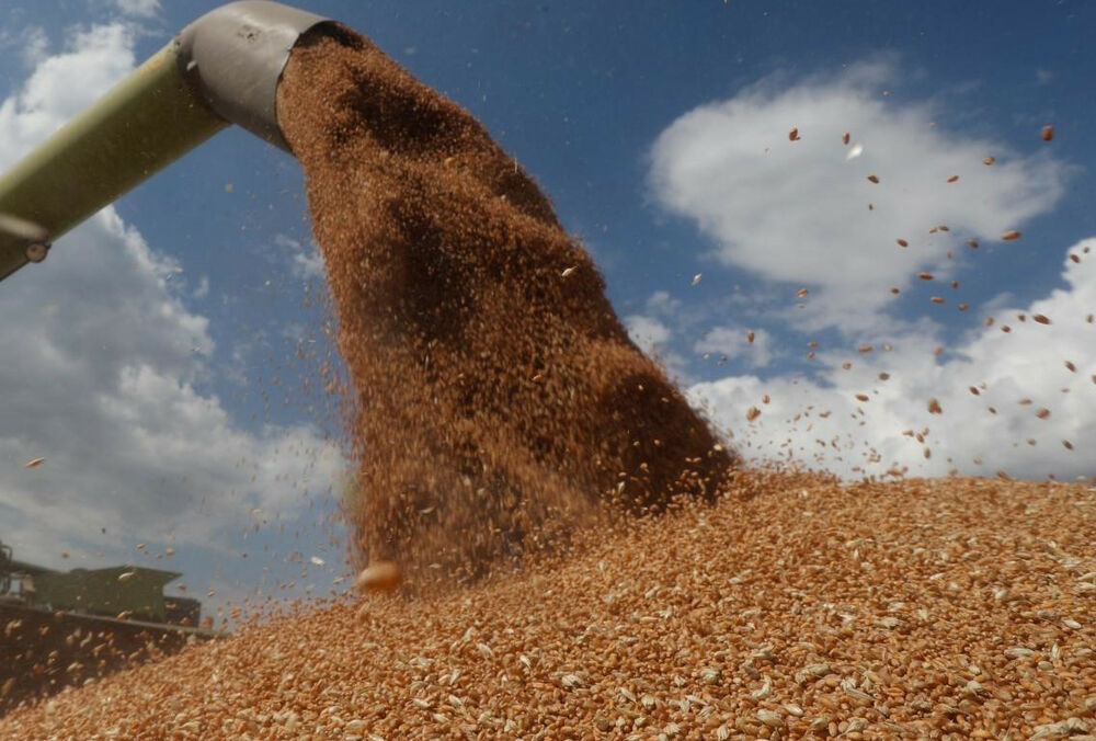 Россия заблокировала движение 218 судов с украинским зерном