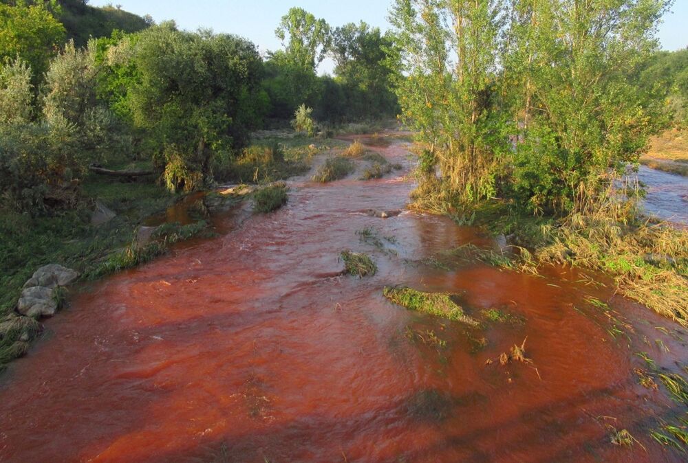 В реке Ингулец обнаружили превышение нормы нескольких веществ В реке Ингулец обнаружили превышение нормы нескольких веществ