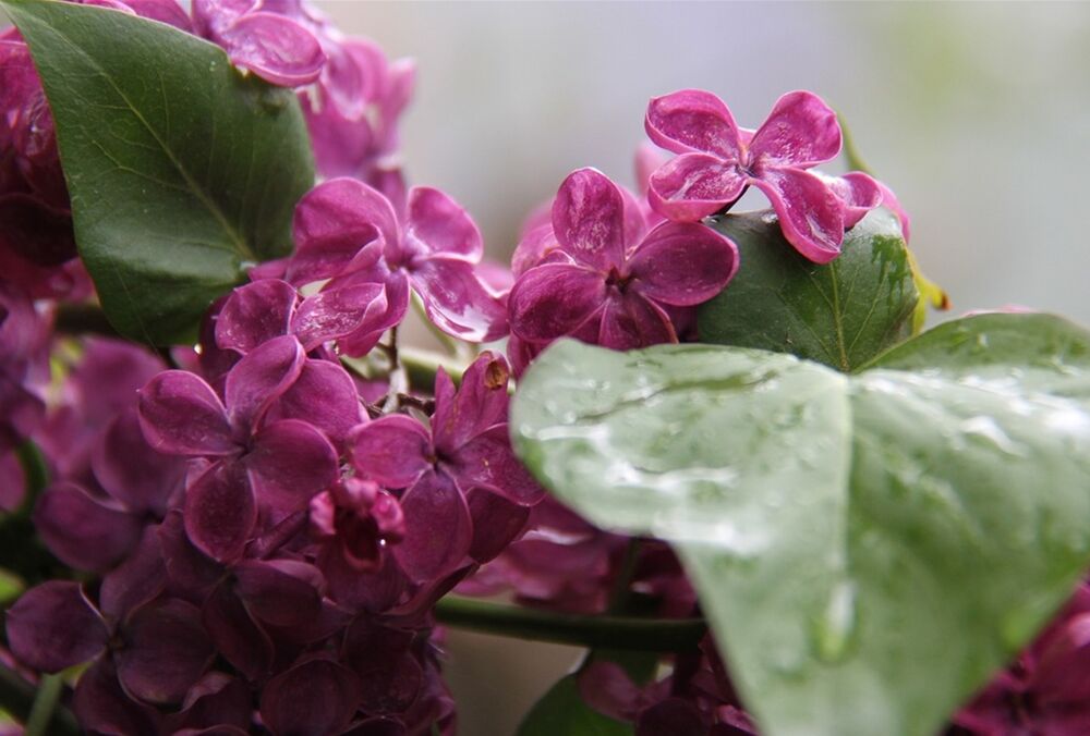 Синоптики предупредили о грозах: прогноз погоды в Украине