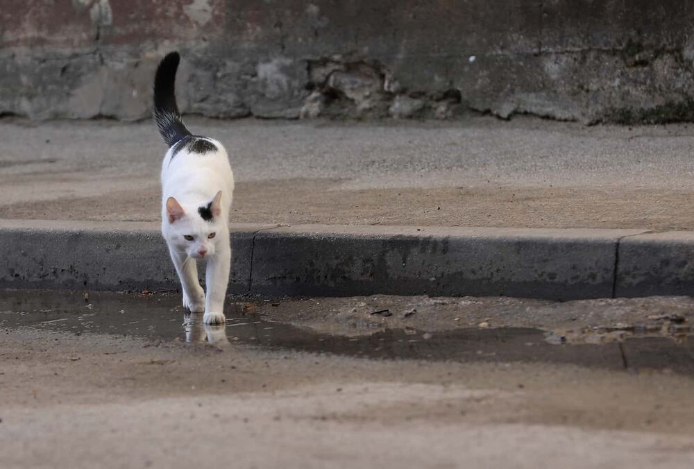 Становится холоднее: прогноз погоды на 10 марта