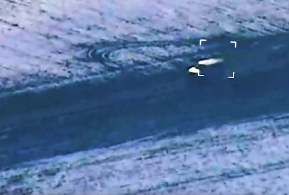 Бойцы ГУР уничтожили российских аэроразведчиков, - ВИДЕО