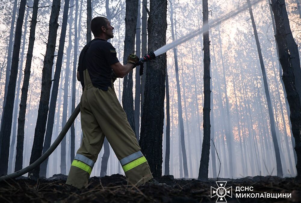 На Миколаївщині спалахнула масштабна лісова пожежа