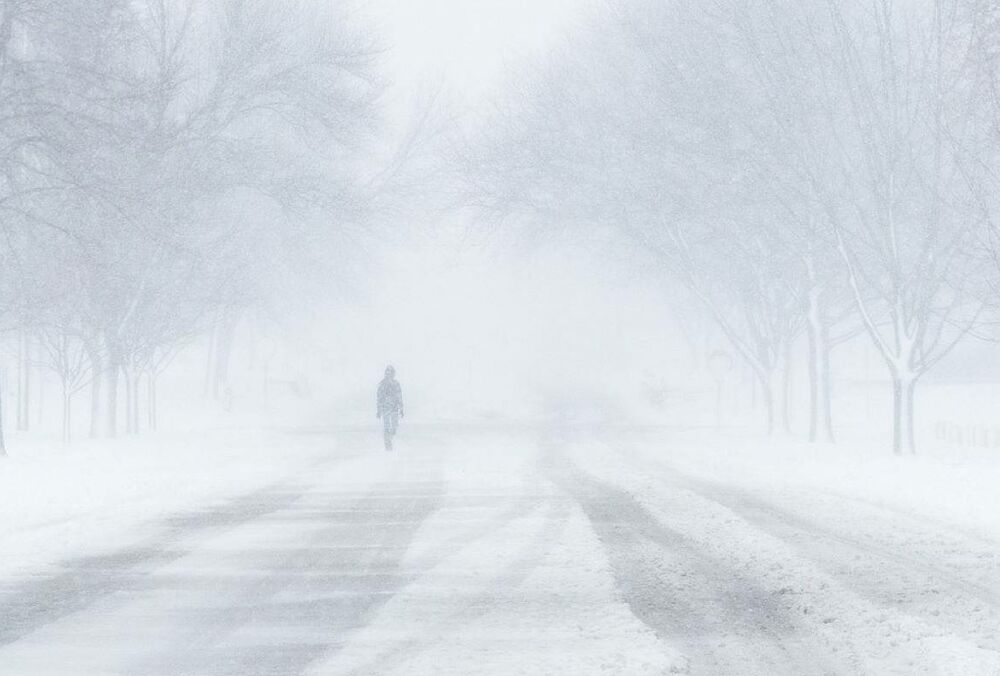 Монголию накрыла мощная снежная буря