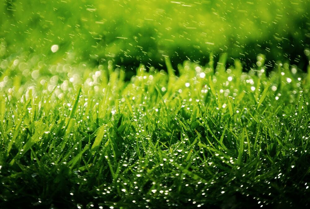 Трійця: що приготувати на святковий стіл