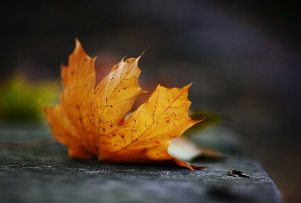 Без сюрпризов: прогноз погоды на 5 октября Без сюрпризов: прогноз погоды на 5 октября