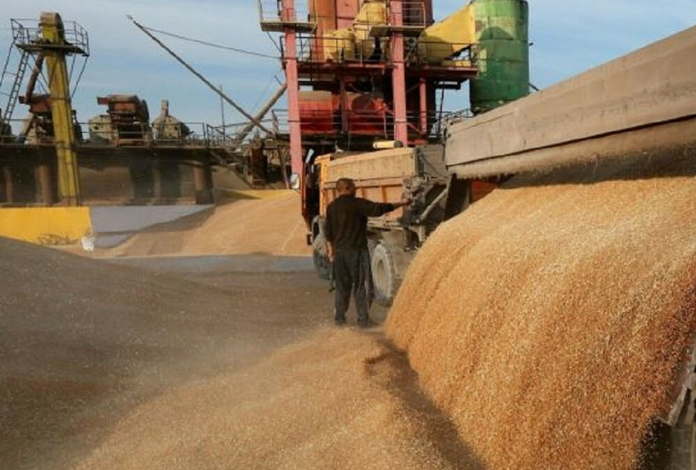 Туреччина та Росія готуються до переговорів щодо створення коридору для експорту українського зерна