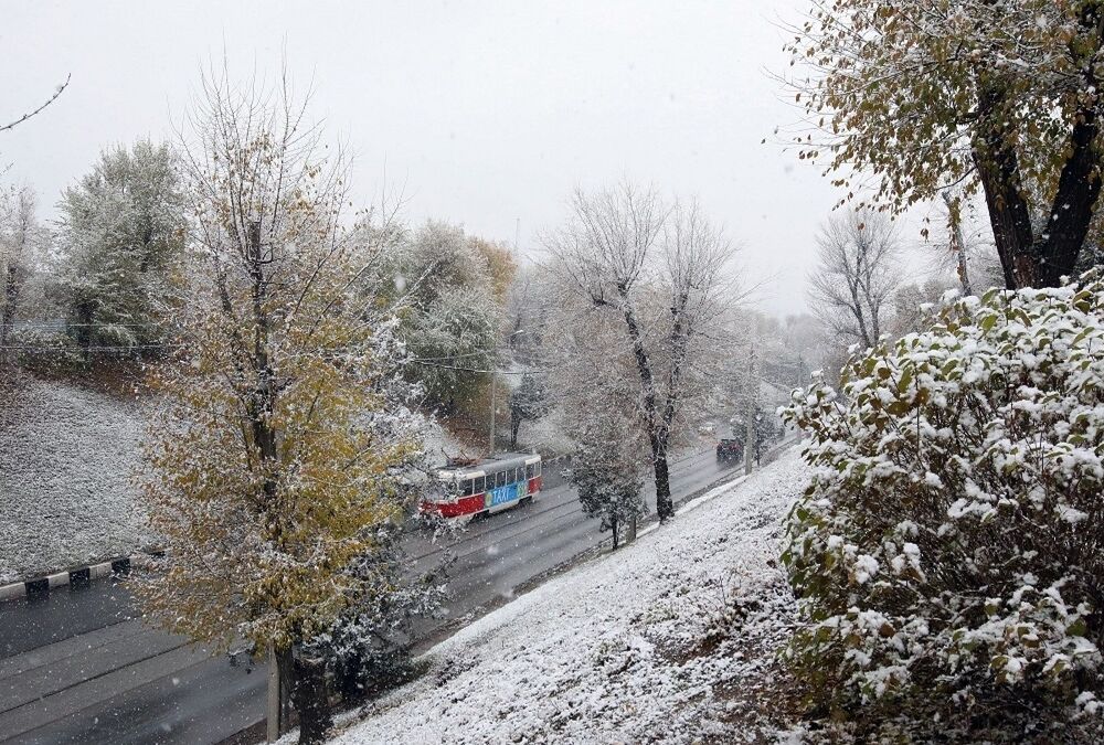 Синоптик прогнозує аномально теплу погоду в Україні на Новий рік