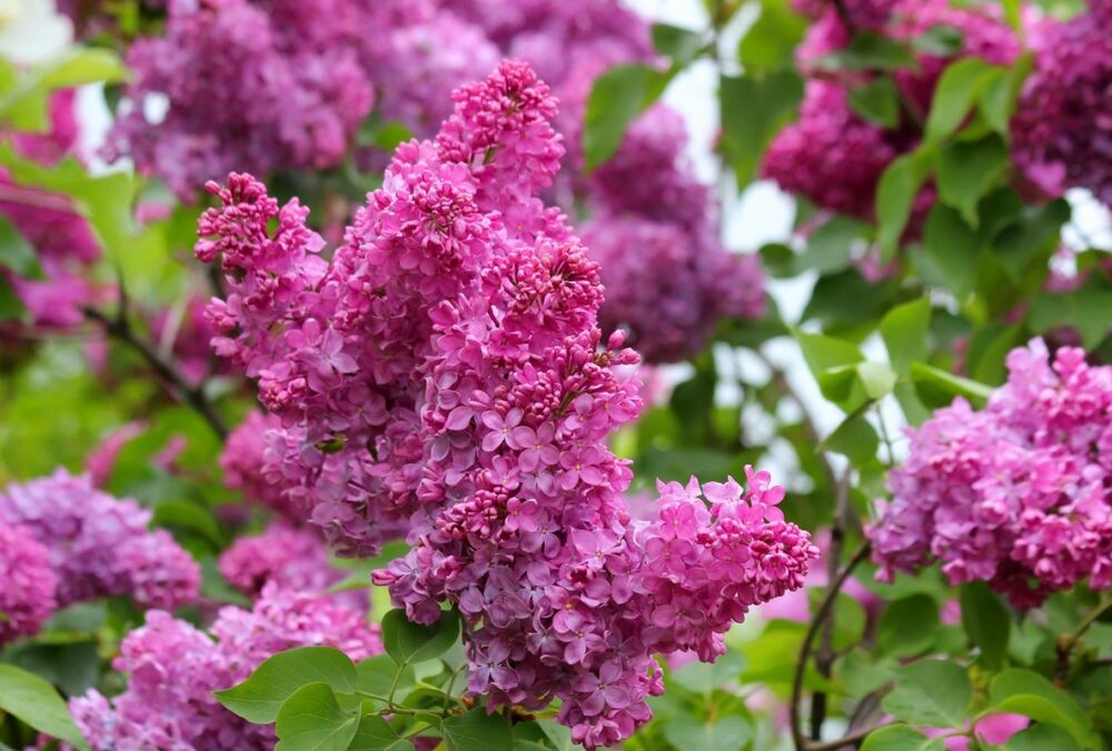 Прогноз погоды в Украине: дожди прекратятся, но теплее не станет