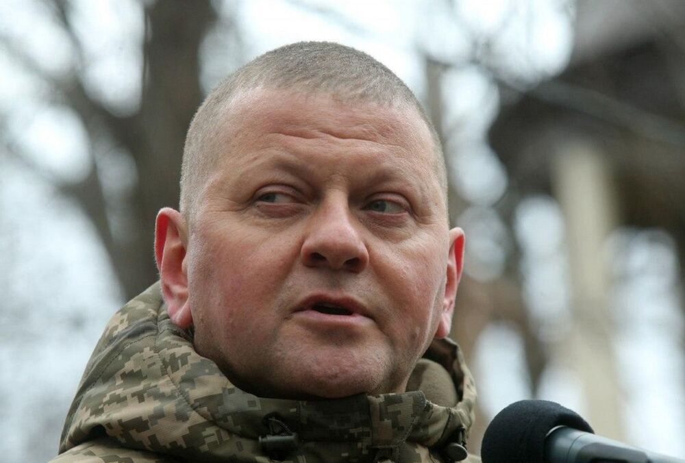 В канцелярии Шольца прокомментировали слухи о причастности Залужного к подрыву российских Северных потоков 