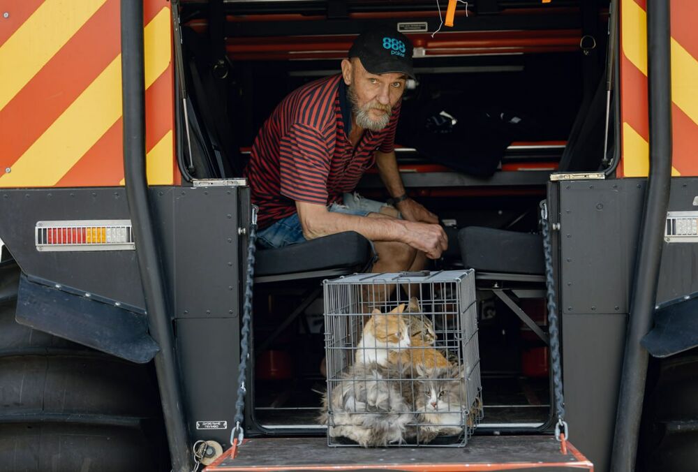 Украина ищет пути для эвакуации жителей левого берега, - МВД