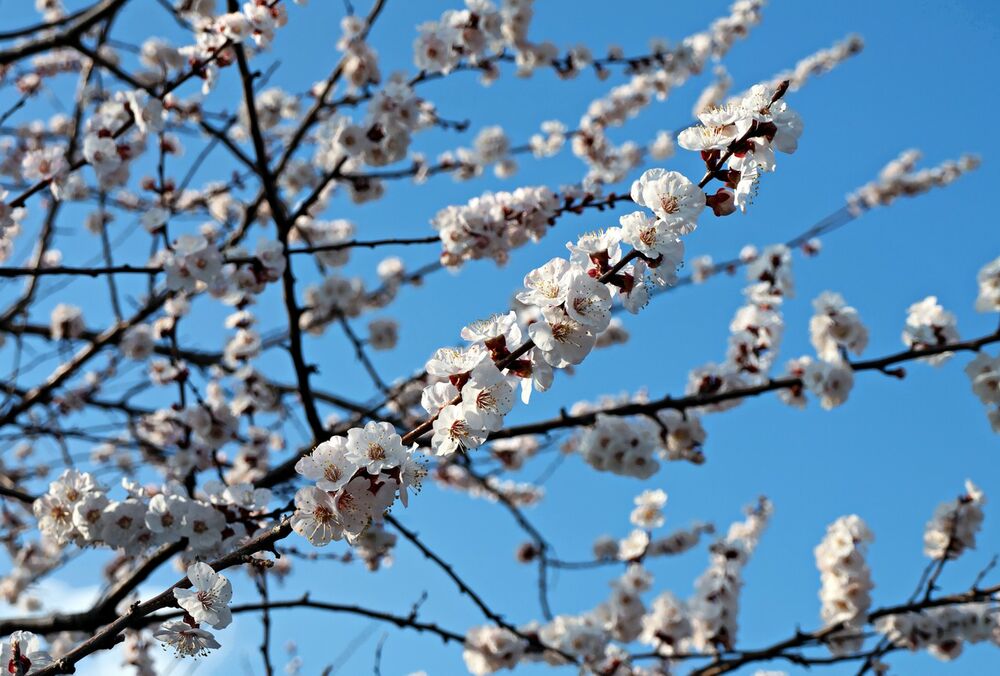 Погода в Україні: де пройдуть грозові дощі